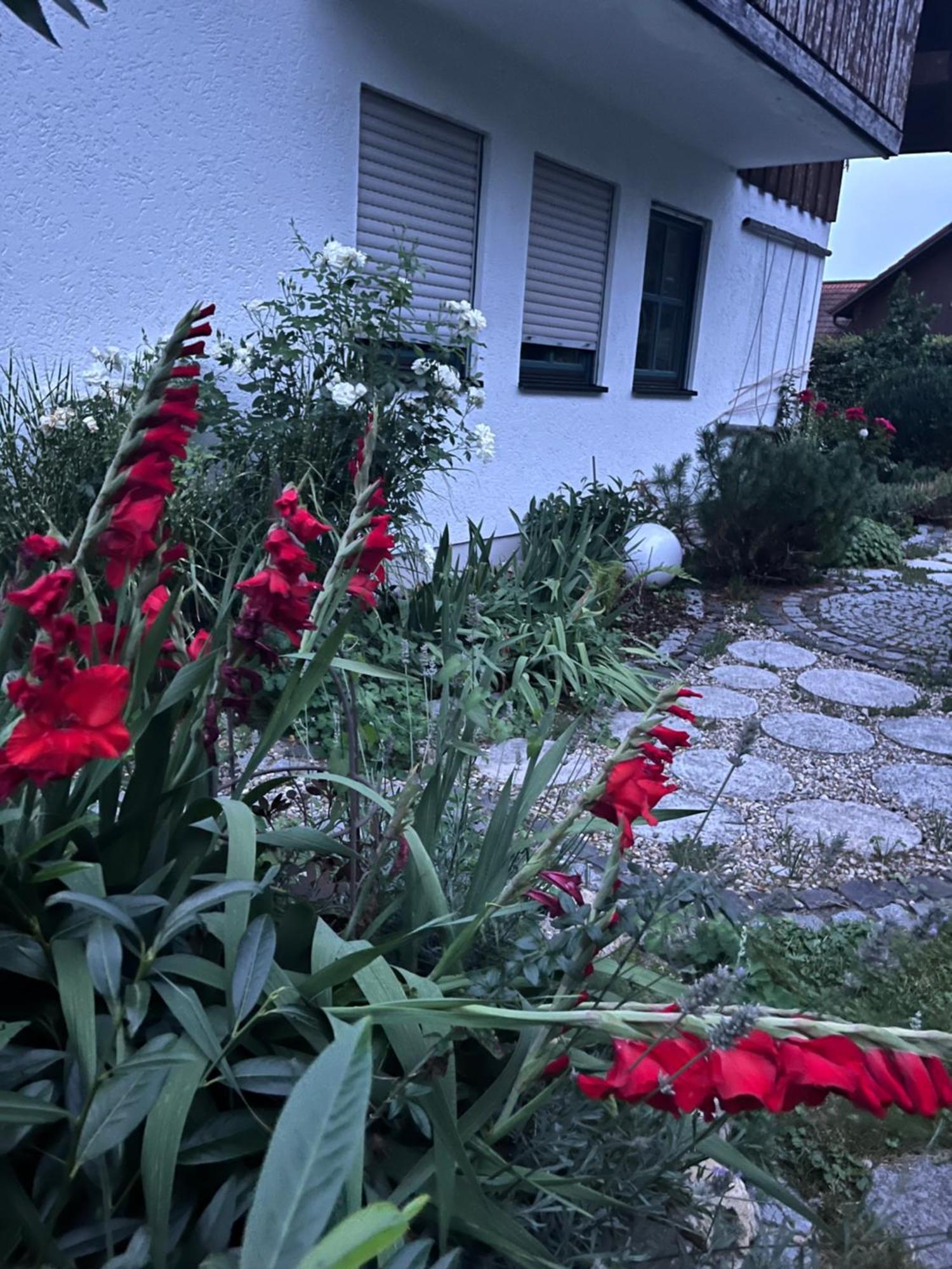 Zimmer Zum Wohlfuehlen Eching  외부 사진